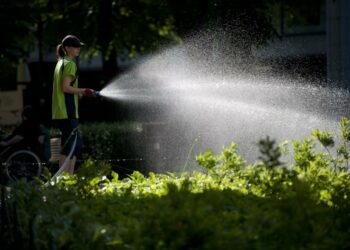 Kesäduunari-infoon soittavat työskentelevät usein kaupan-, ravintola- tai kiinteistöpalvelualalla.