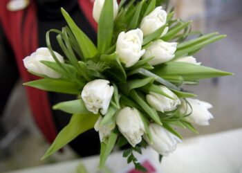 Tulppaanisesonki on huipussaan kansainvälisenä naistenpäivänä. Vasemmistonuoret muistuttaa, että tänään on kysymys muustakin kuin kukkasista.