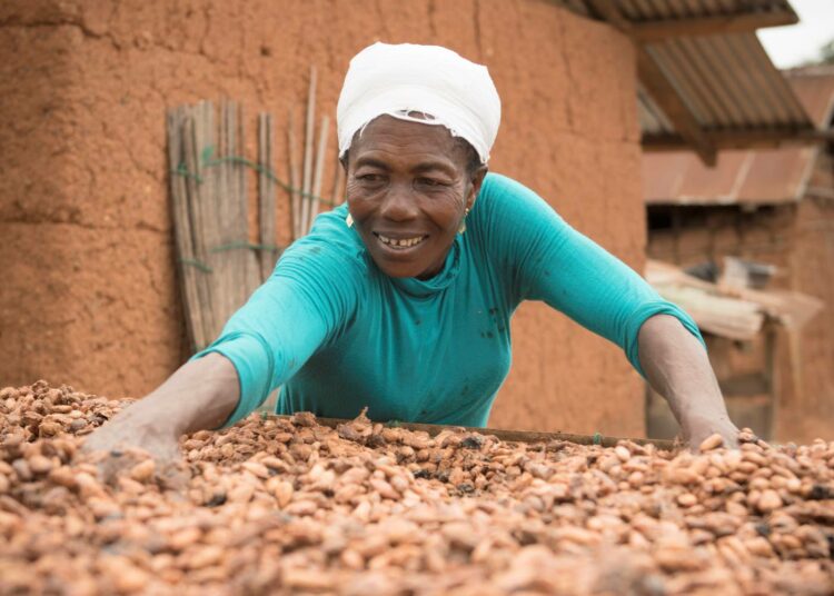 Ghanalainen Beatrice Boaky viljelee kaakaota ja kouluttaa muitakin Reilun kaupan systeemiin.