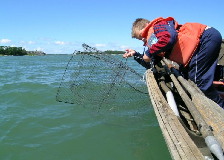 Oppaan johdollakin kalastavalla virkistyskalastajalla pitää olla vesien omistajan lupa. Läänikohtainen viehelupa ei riitä.