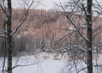 Päijänteen Kotalahdella Jämsässä jää kantaa hyvin, vaikka lumi- ja jääkerroksen välissä on sielläkin paikoin vettä.