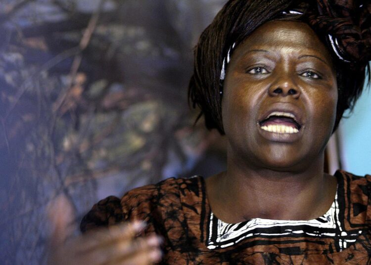 Rauhannobelisti Wangari Maathai kuoli pari viikkoa sitten, mutta ilmastonmuutos on tehnyt hänen ajatuksistaan entistäkin ajankohtaisempia.
