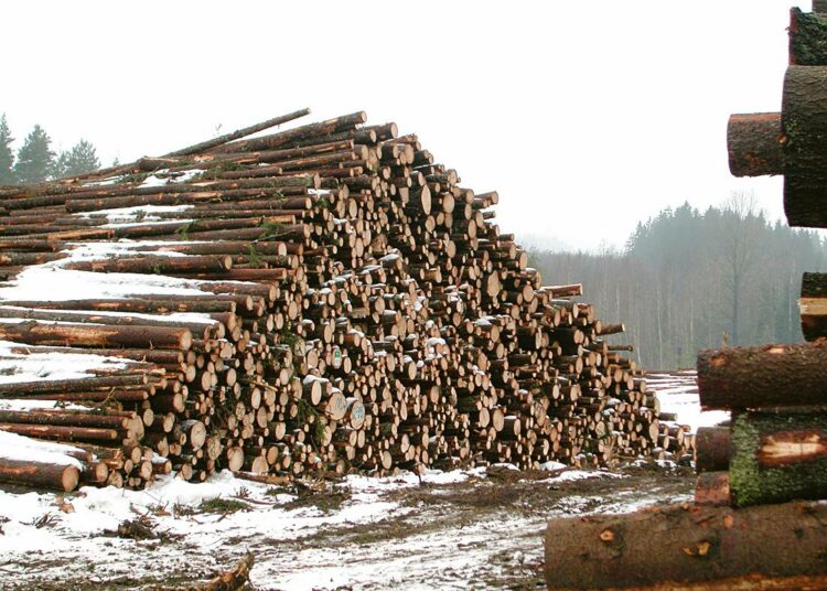 Kirjoittajan mukaan puun pystykaupan lopettaminen palauttaisi metsänomistajat yrittäjiksi. Kuvassa kuitupuupino Ikaalisissa.