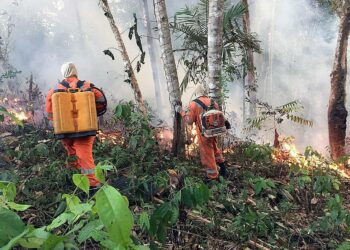 Palokuntalaiset yrittävät sammuttaa Amazonian metsäpaloa Porto Velhon alueella Brasiliassa 18. elokuuta.