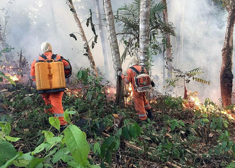Palokuntalaiset yrittävät sammuttaa Amazonian metsäpaloa Porto Velhon alueella Brasiliassa 18. elokuuta.