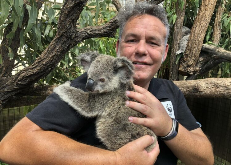 – Kaivoksista riippuvaisia yhteisöjä tulee tukea muutoksessa vihreään energiaan, sanoo Australian WWF:n maan ja merien ekosysteemien terveydestä vastaavan yksikön johtaja Darren Grover sylissään koala nimeltään Maryanne.