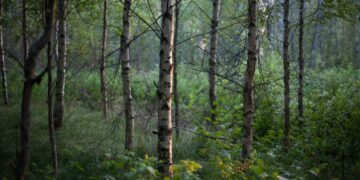 Ympäristökäsikirja kuntapäättäjille -teoksesta selviää muun muassa ”kokonaisheikentymättömyyden” merkitys.