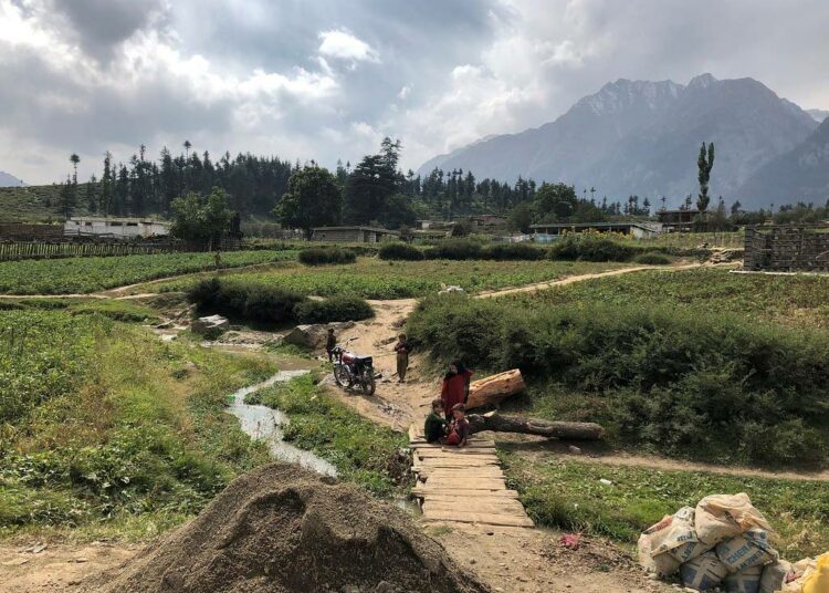 Pakistanin Khyber Pakhtunkhwan maakunnan idyllisessä Swatin laaksossa naiset ovat päättäneet, etteivät taleban-militantit enää uudestaan pääse pesiytymään heidän yhteisöihinsä.