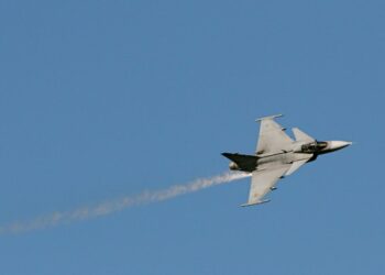 Ruotsi on väkilukuun verrattuna maailman suurin asekauppias. Vientituotteisiin kuuluu JAS Gripen -taistelukone.