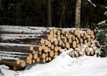 Neuvottelujen katkeamisen jälkeen ei minkäänlaista yhteyttä Puuliiton ja Koneyrittäjien liiton toimistojen välillä ole pidetty.