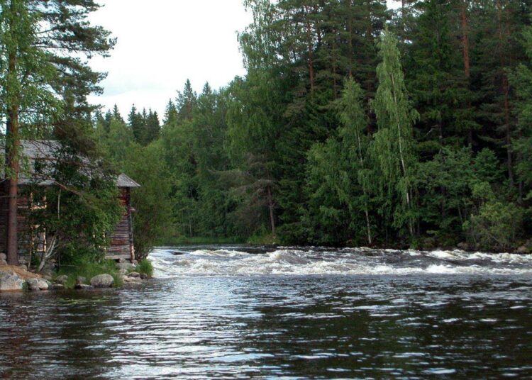 Suomen luonnonsuojeluliiton mielestä hallitusohjelma jatkaa hyvää työtä muun muassa virtavesien puolesta.