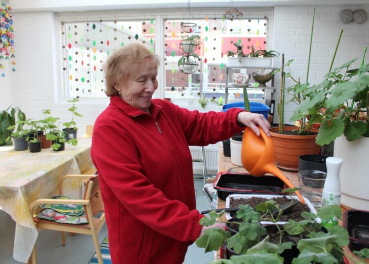 Elsa Heilala, 87, on mukana palvelutalon luontoavusteisessa ryhmässä, joka tällä hetkellä huolehtii talon talvipuutarhasta. Oman käden jäljen pääsee näkemään konkreettisesti, työn sadosta pääsevät nauttimaan muutkin talon asukkaat. - Tärkeää on, että tekemistä on monipuolisesti ja lähellä.