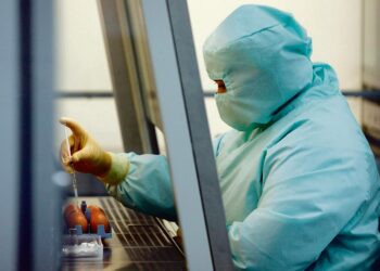 Sikainfluenssaan kehitetään kuumeisesti rokotetta. Rokotteen arvellaan olevan valmis lokakuussa 2009.