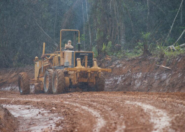 Yksi ongelmamaista on arvostelijoiden mielestä Gabon. Kuvassa tienrakennusta sademetsässä Lopen kansallispuistossa Gabonissa.