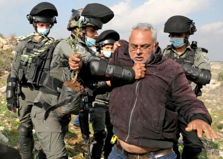 Israelin rajavartijat estivät joulukuussa palestiinalaismiestä istuttamasta oliivipuun tainta palestiinalaisten maille lähellä israelilaisten vartioasemaa Länsirannalla.